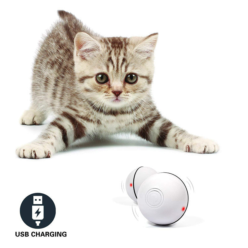Magic Motion Cat Toy Ball