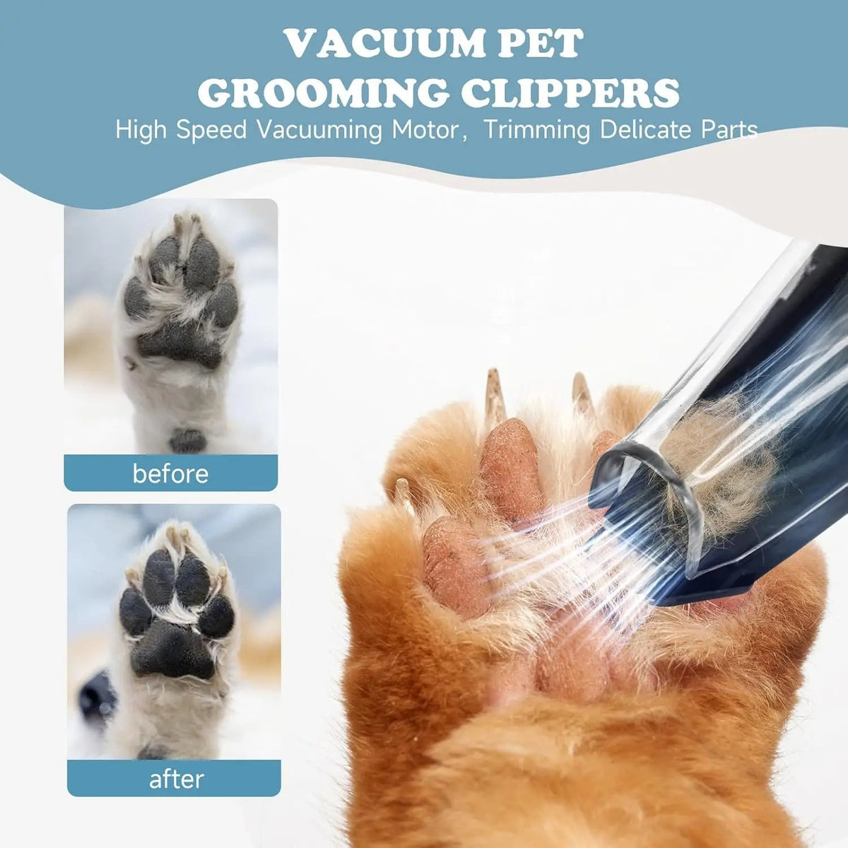 Precision Paw Trimmer