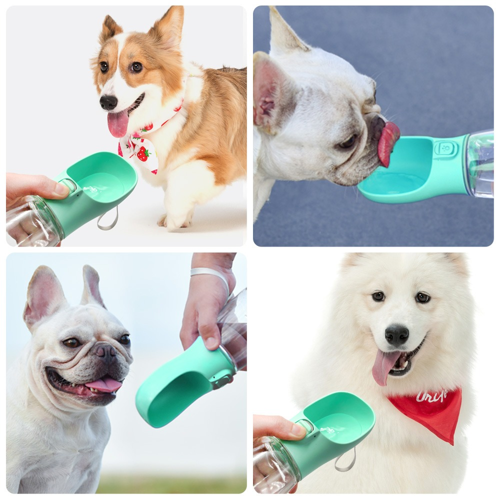 Travel Pet Water Bottle & Feeder